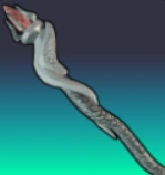 Elixir Staff