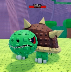 Shellthorn